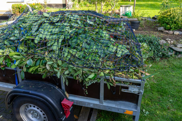 Best Yard Waste Removal  in Wind Gap, PA